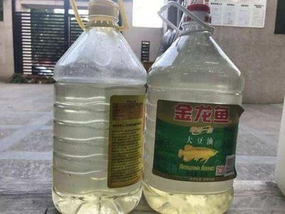 養金龍魚水里用放鹽嗎為什么：養金龍魚需要放鹽嗎？