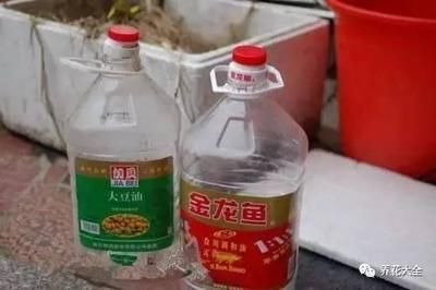 養金龍魚水里用放鹽嗎為什么：養金龍魚需要放鹽嗎？