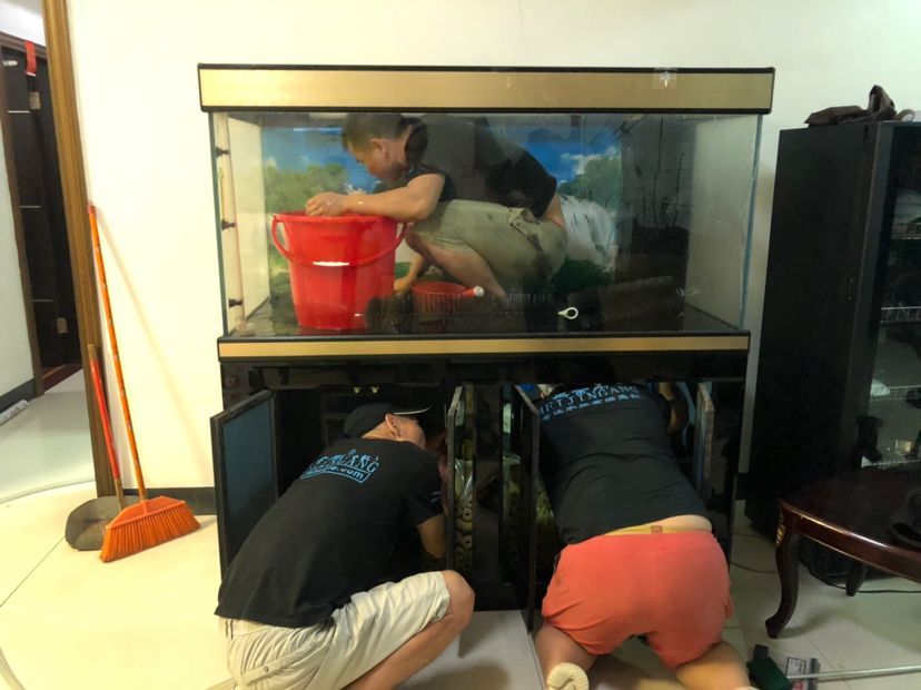 龍魚(yú)用什么缸養(yǎng)最好，養(yǎng)殖龍魚(yú)的魚(yú)缸需要考慮多個(gè)因素，養(yǎng)殖龍魚(yú)需要考慮多個(gè)因素
