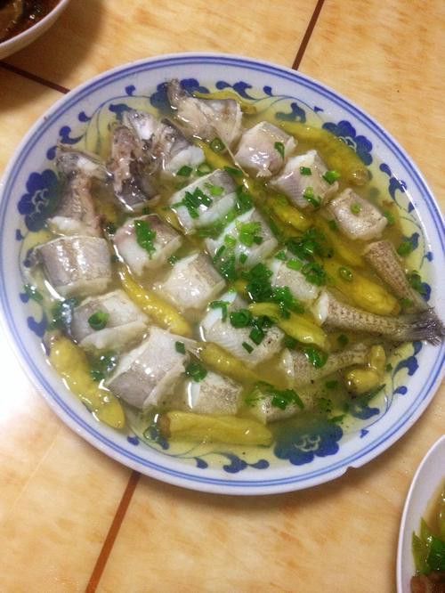 水龍魚圖片大全高清圖