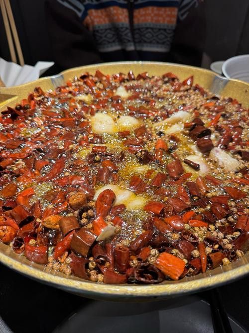 水龍魚圖片大全高清圖