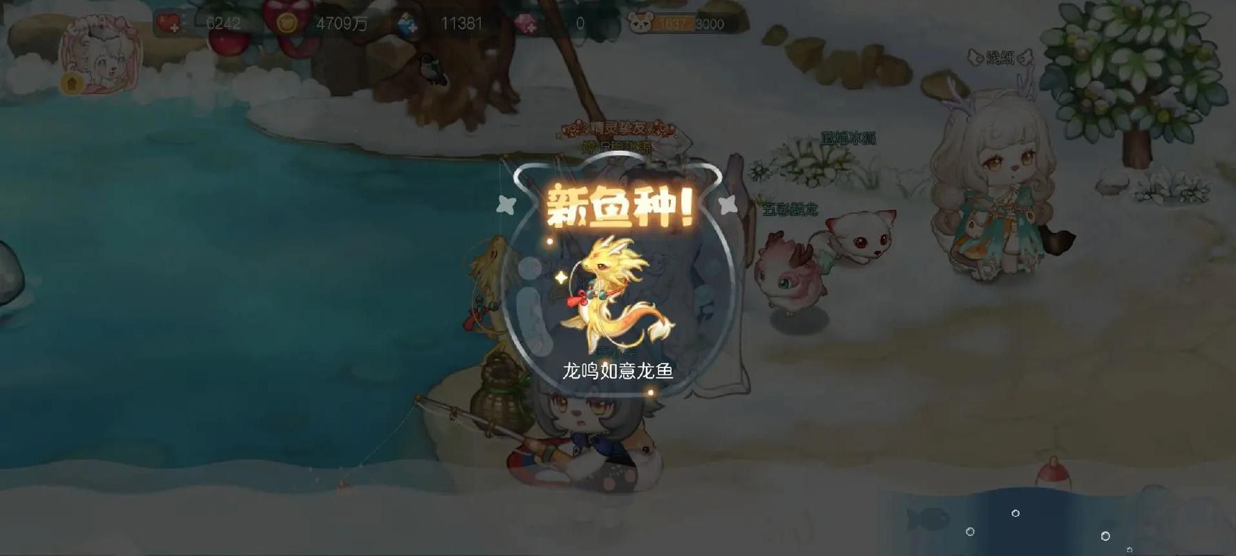 水龍魚圖片大全高清圖