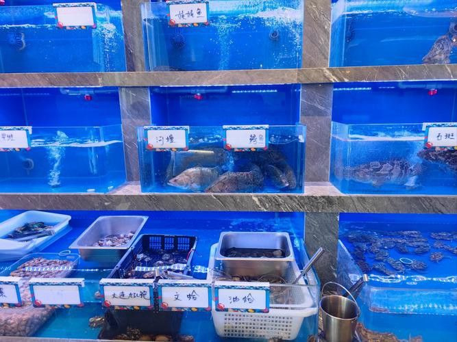杭州龍魚批發市場