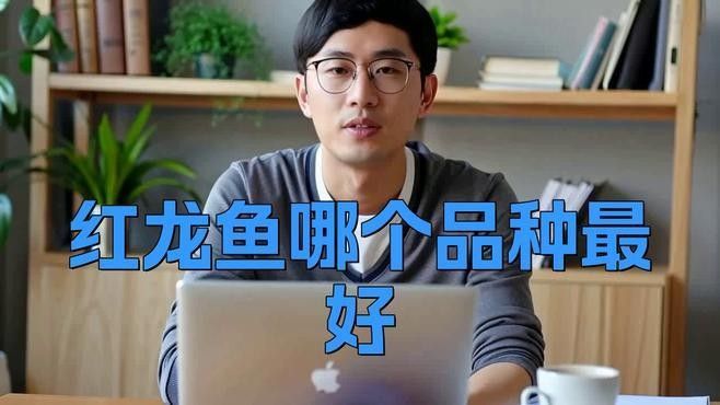 龍魚圖騰圖片欣賞大全