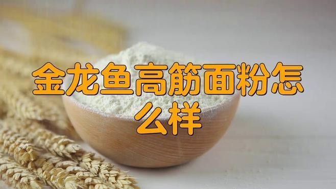 銀龍魚和金龍魚哪個兇猛