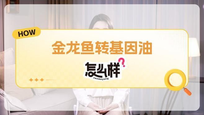 銀龍魚和金龍魚哪個兇猛