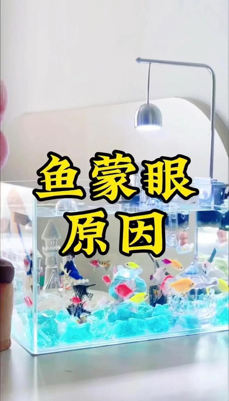 如何判斷龍魚蒙眼是外蒙還是內蒙？