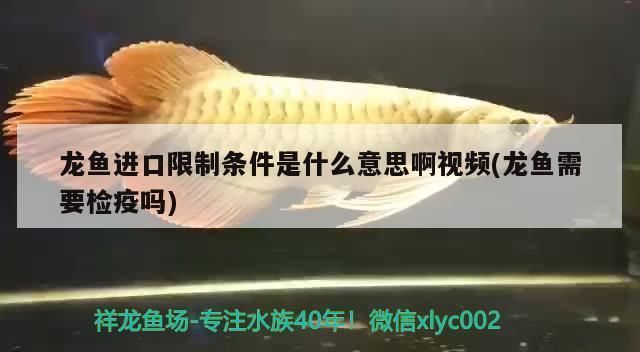 龍魚進口限制品種有哪些種類：《瀕危野生動植物種國際貿易公約》列入國際貿易禁運名單