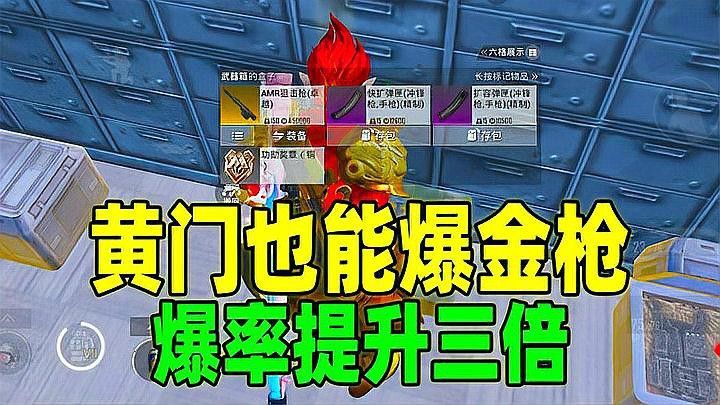 金龍在游戲中的屬性如何