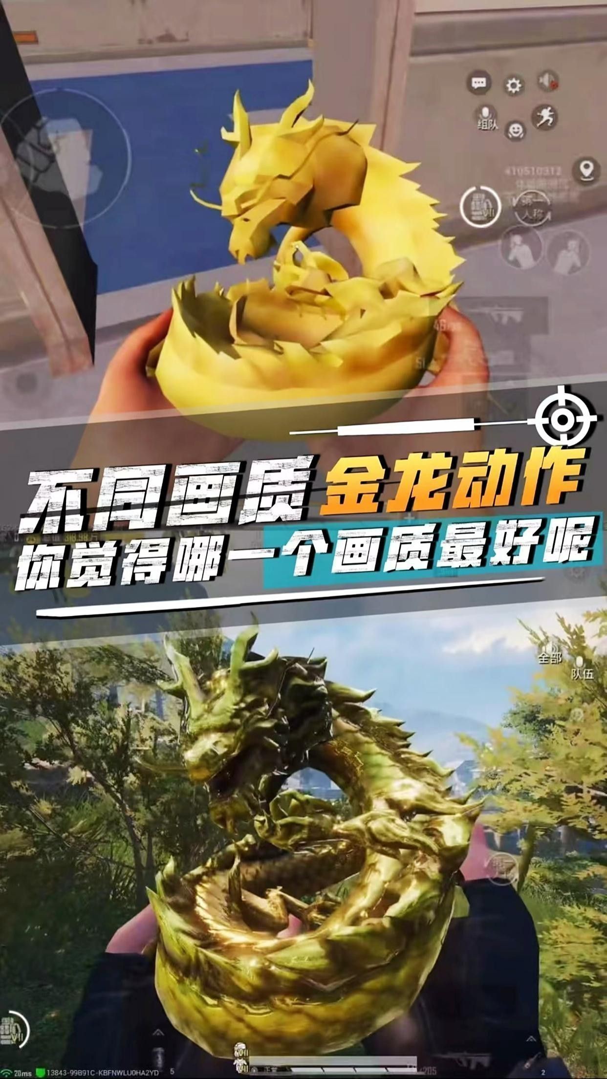 金龍在游戲中的屬性如何