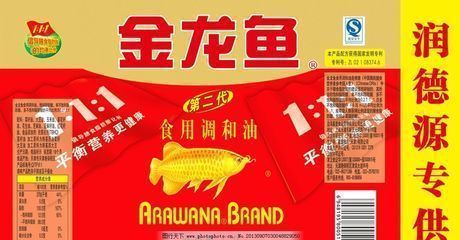 龍魚和鳳魚多大尺寸：龍魚與鳳魚混養指南,觀賞魚缸清潔技巧