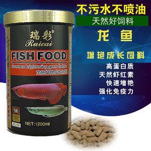 龍魚專用飼料：如何選擇龍魚專用飼料