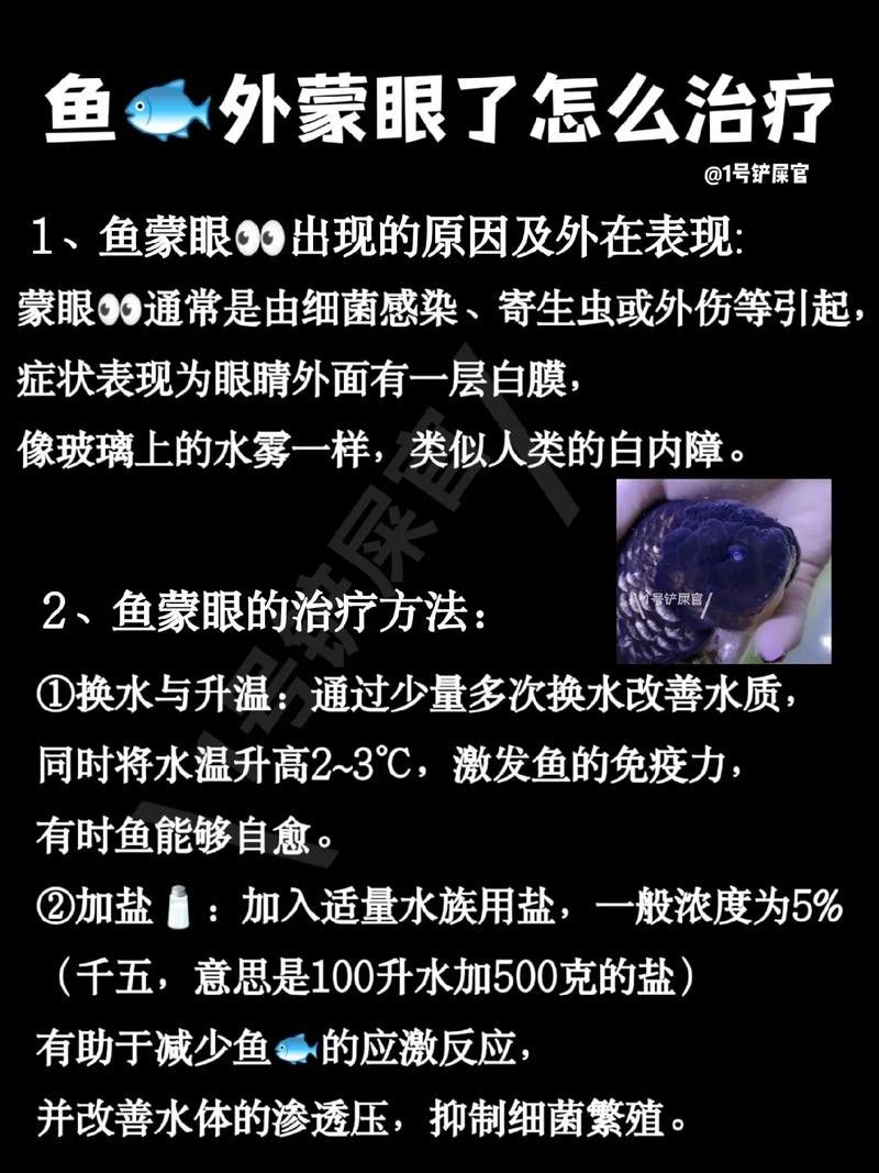 銀龍魚眼睛白了怎么回事兒圖片