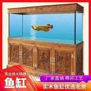 龍魚魚缸寬度多少合適：選擇龍魚魚缸寬度影響因素