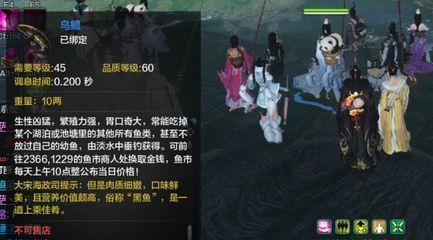 金龍魚品質等級：金龍魚品質等級詳解金龍魚品質等級及其相應的特征