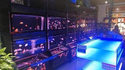 龍魚專賣店門面圖片大全集：龍魚專賣店門面圖片