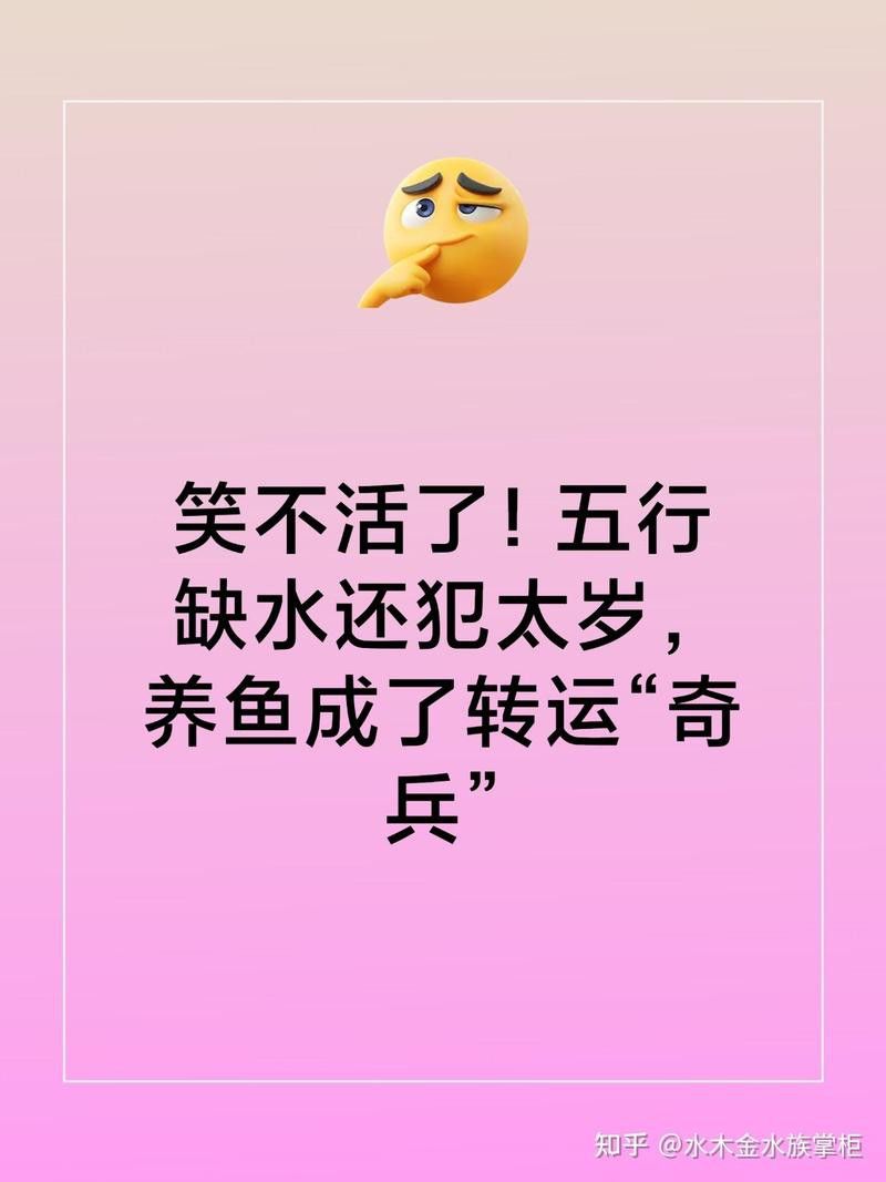 屬狗者適合養什么魚？