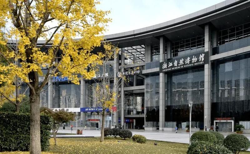 青龍魚桿怎么樣，青龍魚桿性價比排行