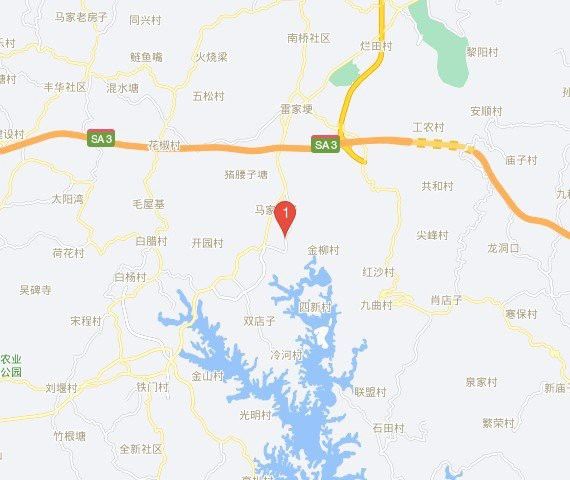 眉山龍魚專賣店