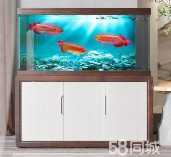 高端龍魚缸品牌排行榜：高端龍魚缸品牌創新技術介紹高端龍魚缸品牌創新技術介紹