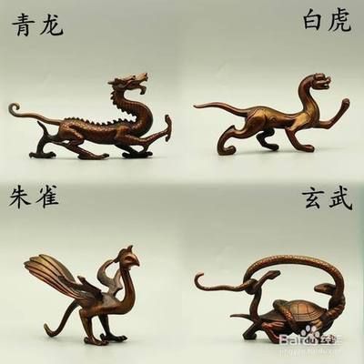 龍魚鳳魚虎魚豬鼻龜：龍魚、鳳魚、豬鼻龜四種觀賞魚的養(yǎng)殖方法與特點