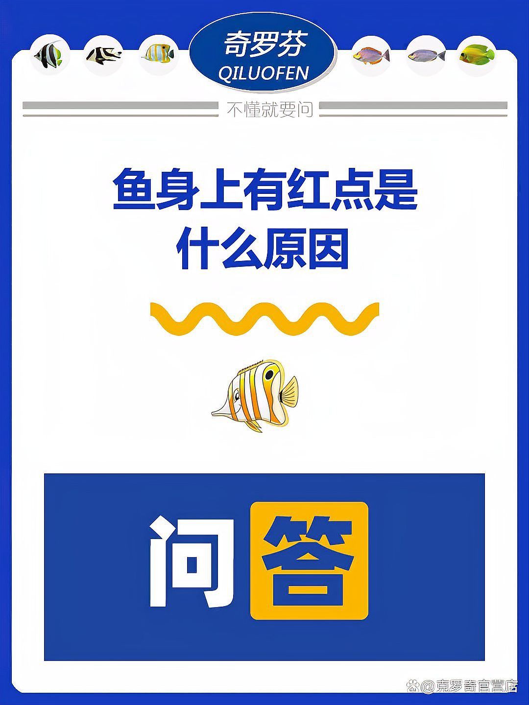 紅龍魚身上有青色斑點(diǎn)是怎么回事