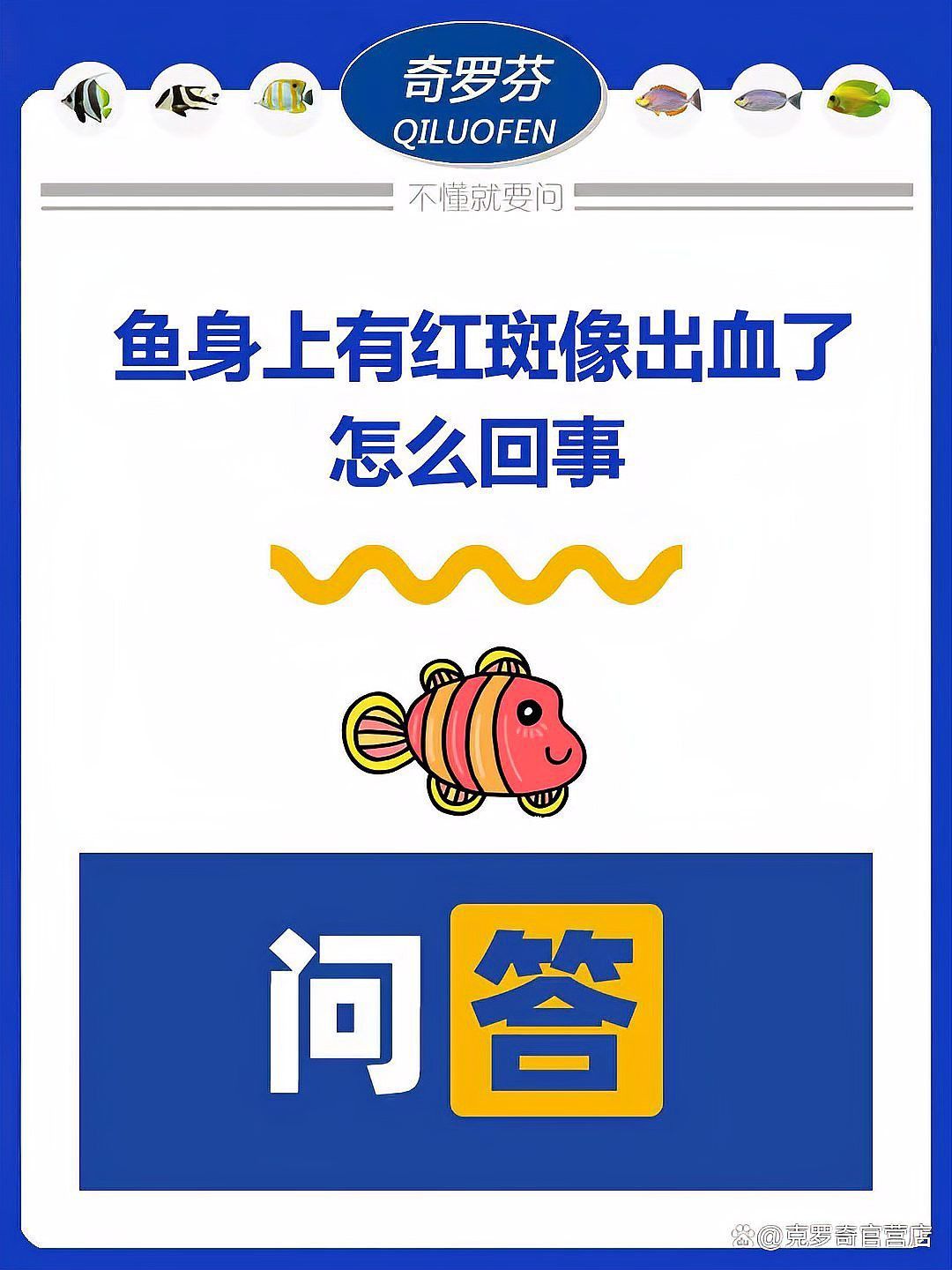 紅龍魚身上有青色斑點(diǎn)是怎么回事