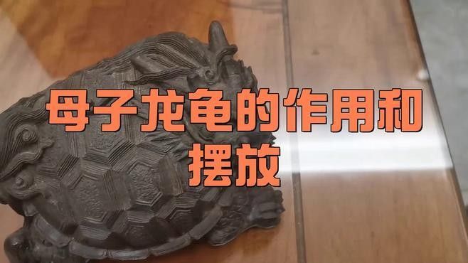 龍龜圖片有哪些常見的尺寸？