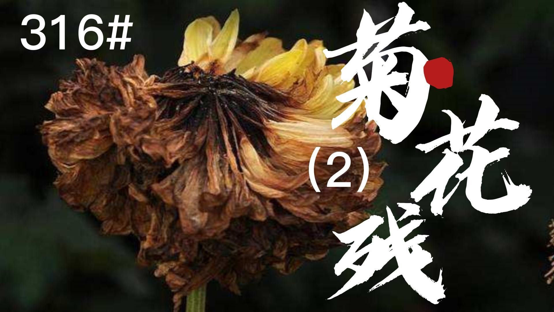 龍魚脫肛后如何護理？