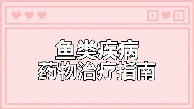 有哪些藥物可以治療龍魚腸炎？