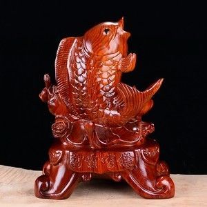 紅木金龍魚有啥說法（關于紅木金龍魚的問題）