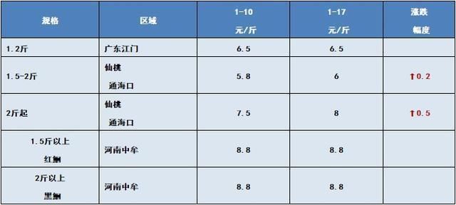 白色龍魚價格多少錢一只：白色龍魚價格解析，市場行情、影響因素及選購指南
