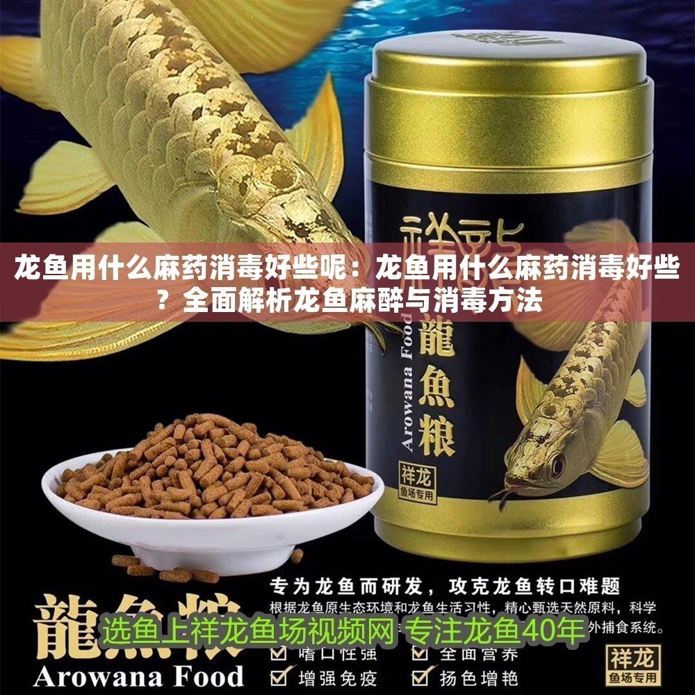 龍魚用什么麻藥消毒好些呢：龍魚用什么麻藥消毒好些？全面解析龍魚麻醉與消毒方法