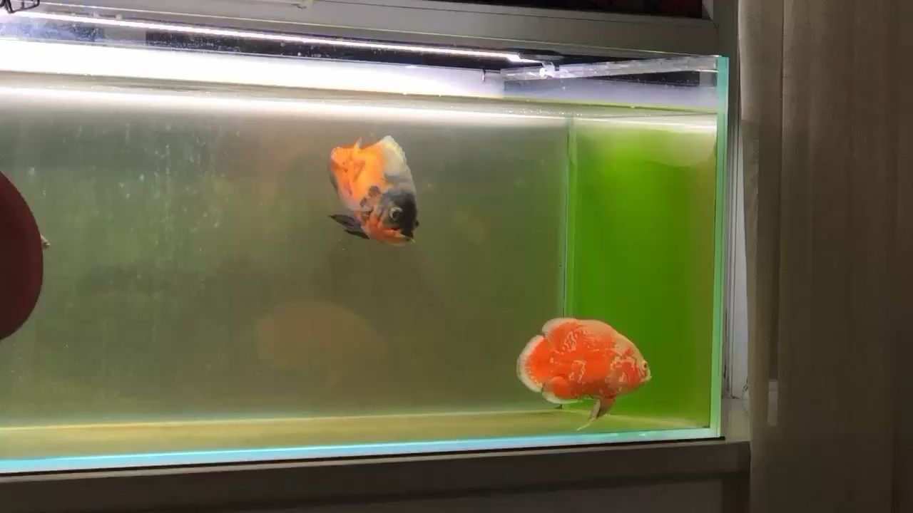 太原話