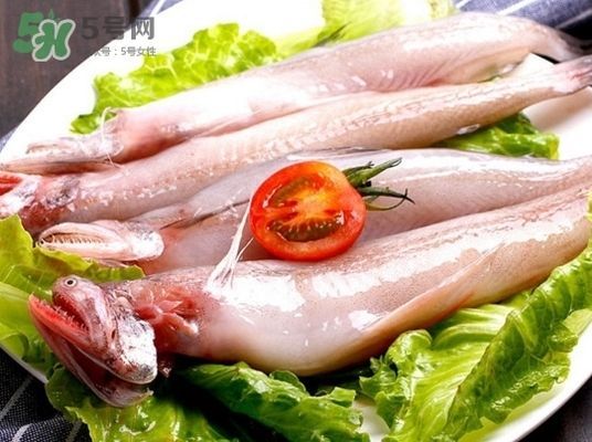 龍魚是海鮮嗎：龍魚屬于海鮮嗎？ 龍魚是海鮮嗎：龍魚屬于海鮮嗎？ 龍魚百科 第2張