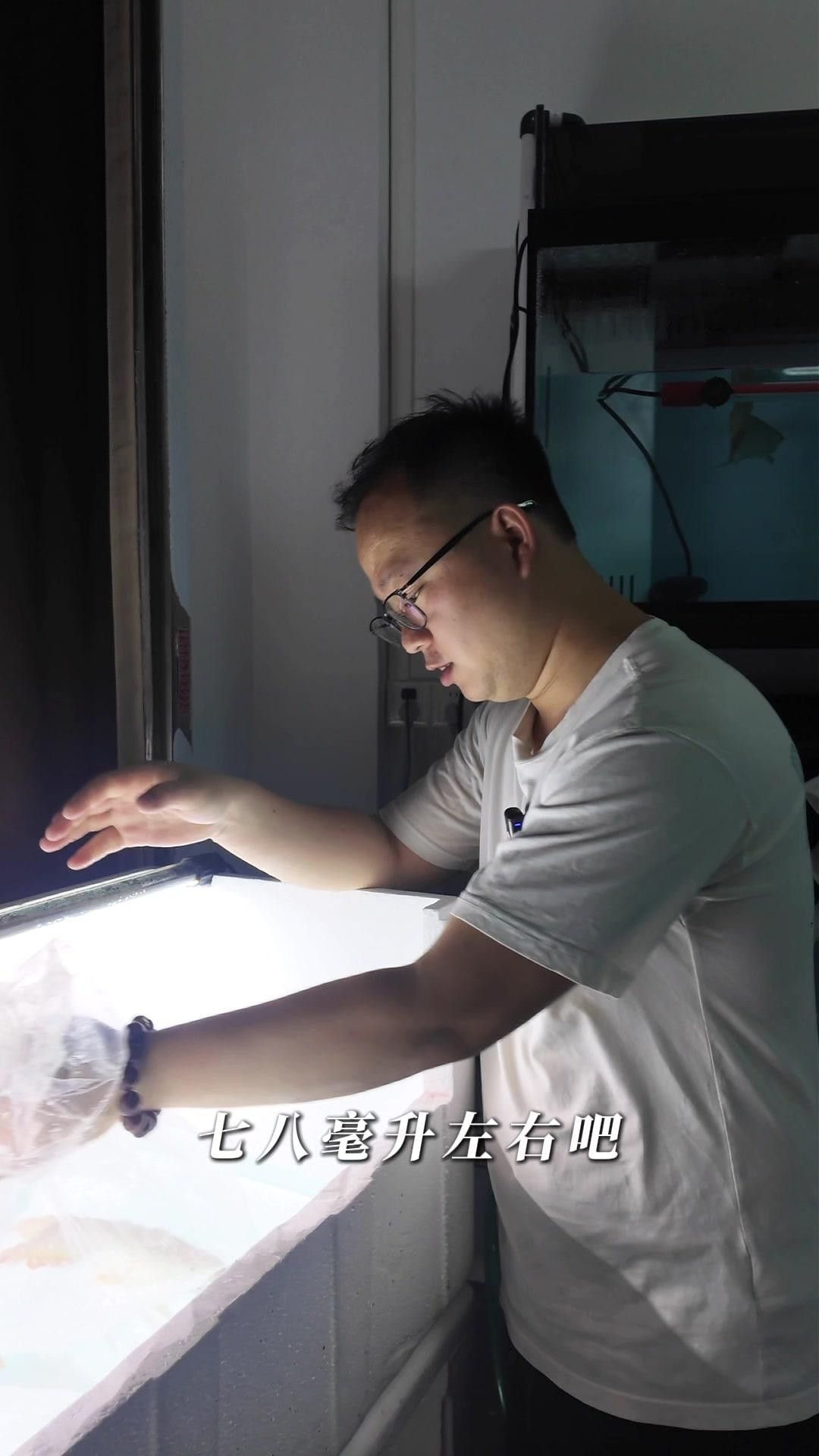 如何判斷龍魚是否完全麻醉？