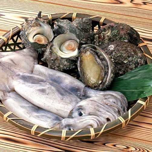 鯪魚圖片大全