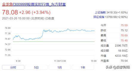 金龍魚背后的資本是高盛：金龍魚背后的資本是高盛嗎？