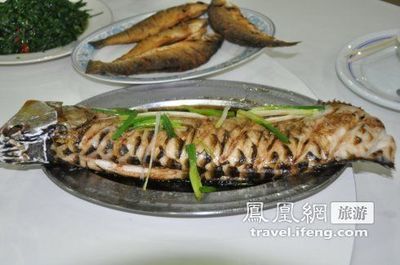 龍魚是否可以吃煮熟的蝦（關于龍魚可以吃煮熟的蝦，存在不同的觀點和建議和建議）
