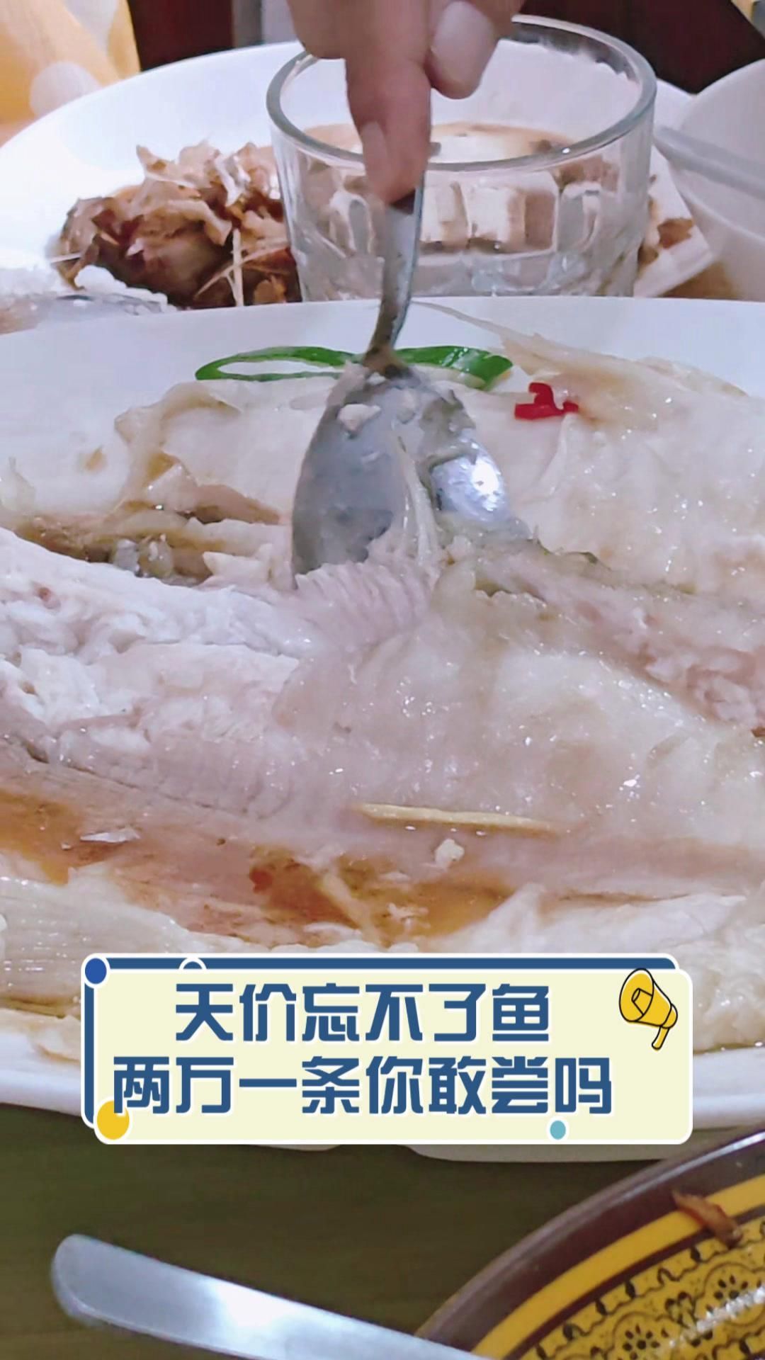 馬來西亞最貴的魚忘不了魚
