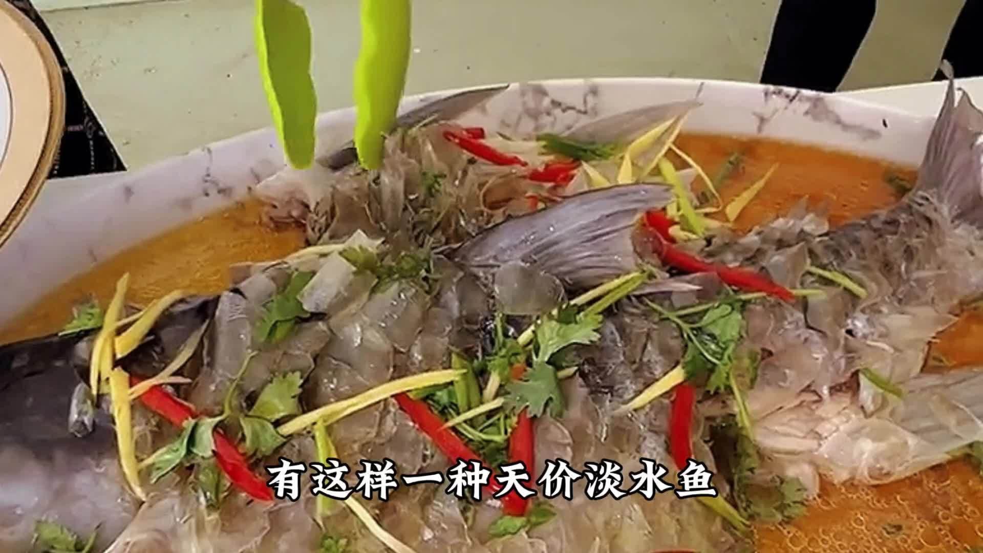 馬來西亞最貴的魚忘不了魚