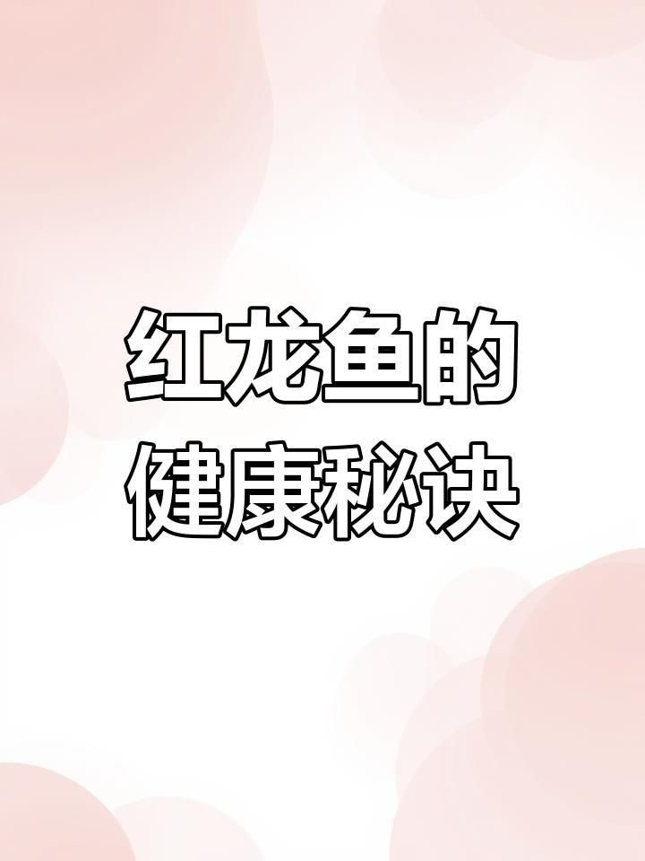 紅龍魚為何不建議吃