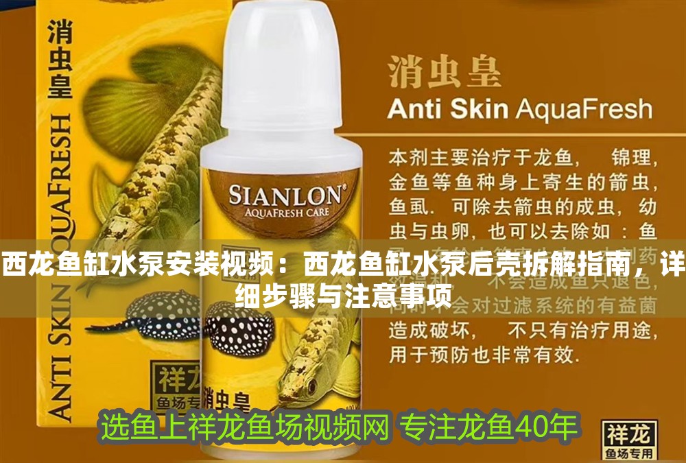 西龍魚缸水泵安裝視頻：西龍魚缸水泵后殼拆解指南，詳細(xì)步驟與注意事項(xiàng)