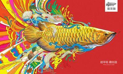 金龍魚背上的垢會退掉嗎：金龍魚背上的垢可以退掉嗎