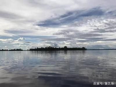 大湖龍魚產地在哪里：大湖龍魚的產地在哪里