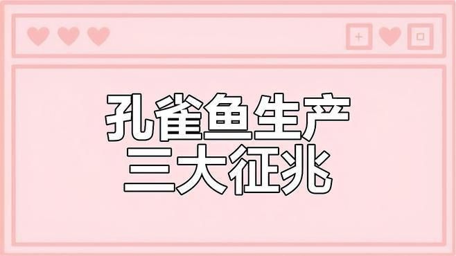 孔雀魚下崽的征兆
