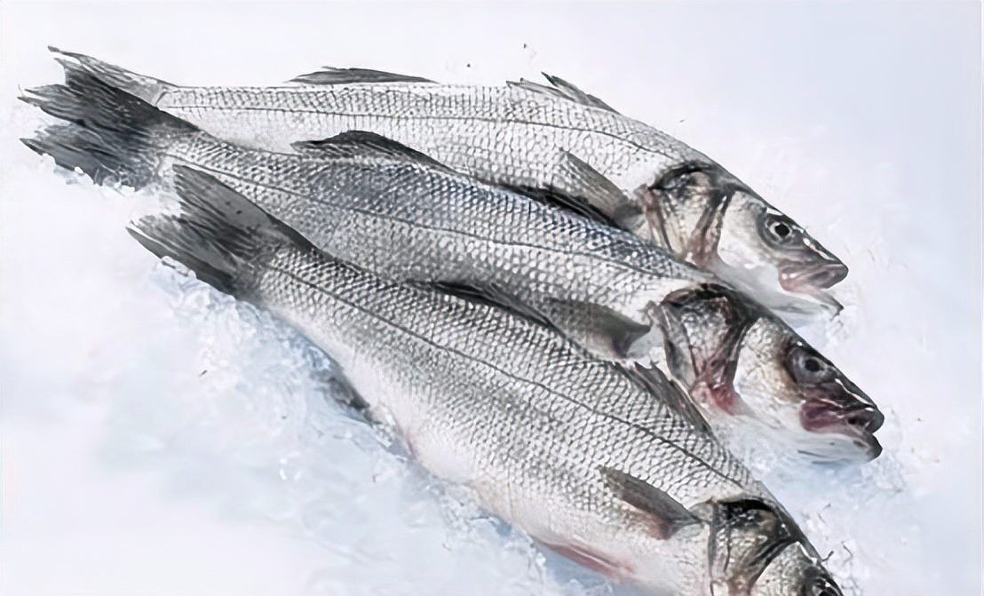 如何確認青龍魚是否攜帶寄生蟲？