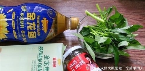 金龍魚不吃食可以下鹽嗎【金龍魚不吃食可以下鹽嗎，】