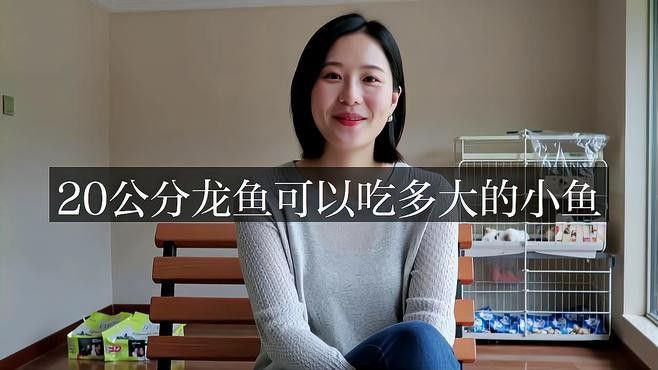 20厘米小龍魚吃什么 20厘米小龍魚吃什么 龍魚百科 第1張