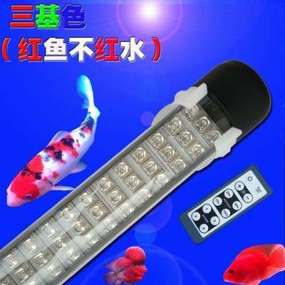 龍魚增艷燈和發色燈哪個好用：如何判斷龍魚需要發色燈，不同種類龍魚對燈光需求差異